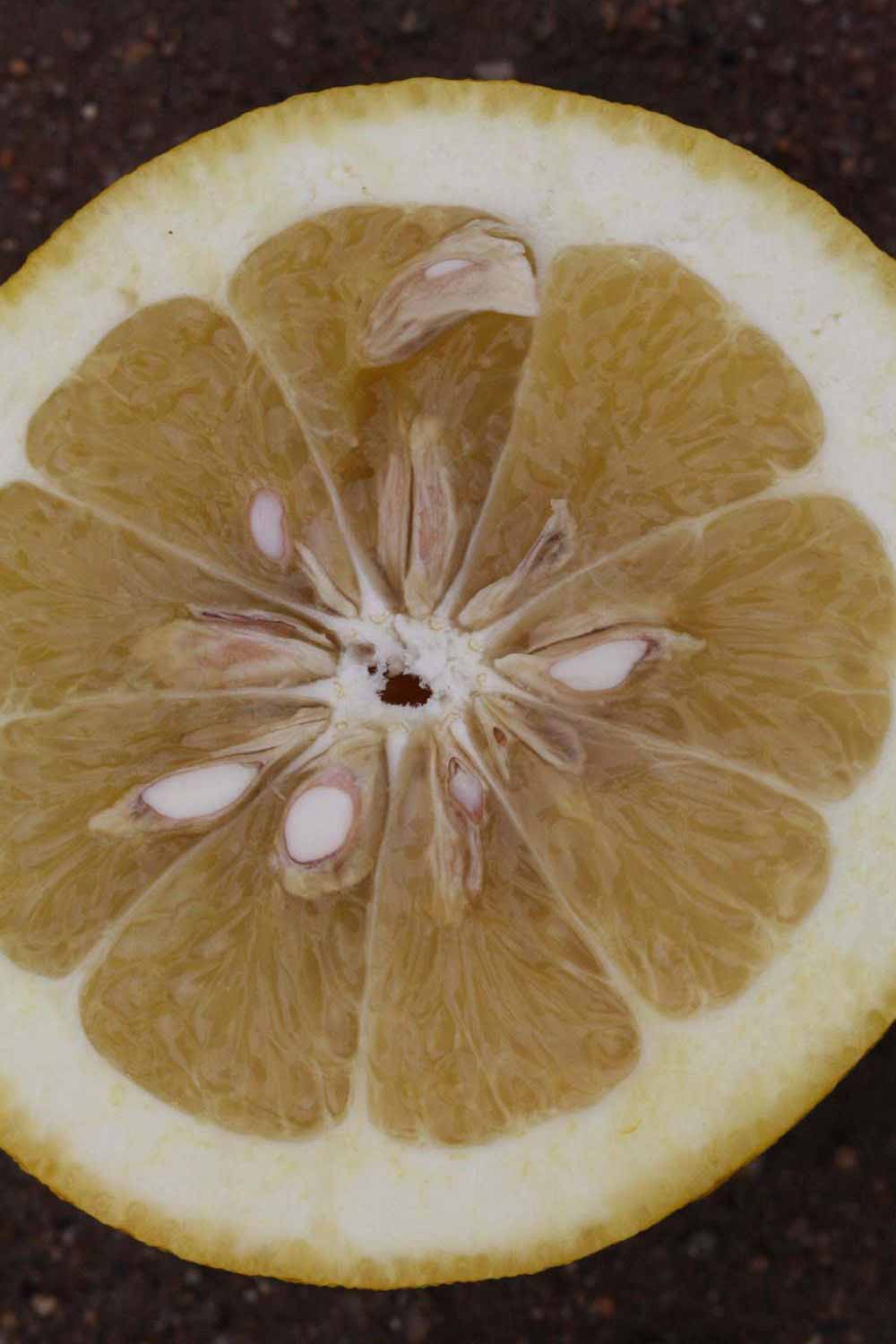            Fruit cross-section (Riverside, CA)   